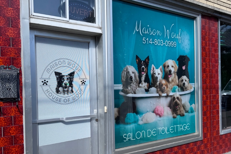 Maison Wouf Toilettage - 2561 Rue Fleury E, Montreal, Quebec H2B 1L7